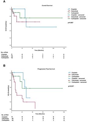 Treatment with (chemo)-radiation in old patients (≥76 years of age) with newly diagnosed non-metastatic squamous cell cancer of the head and neck region: real-world data from a tertiary referral center